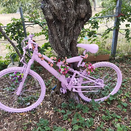 Koula 2-petros Lejlighed