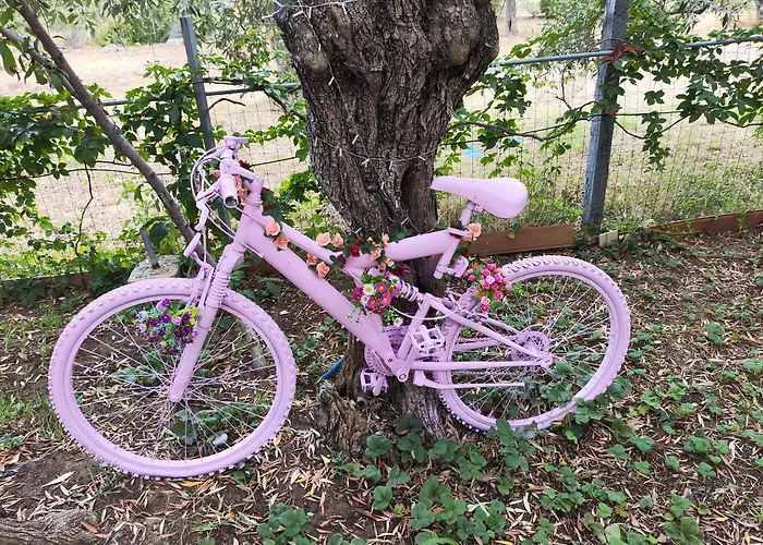 Koula 2-petros Apartamento