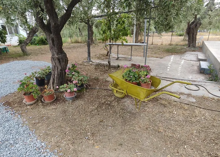 Koula 2-petros Potos